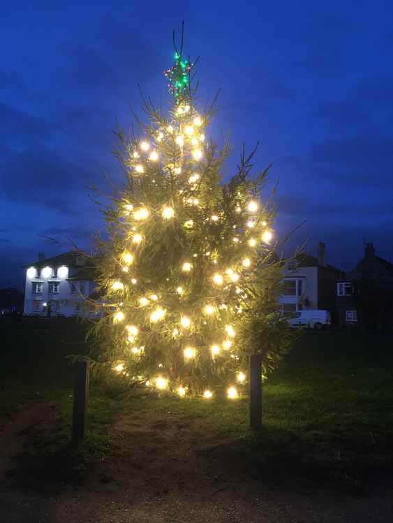 Christmas tree lights up Harbour Green in West Bay