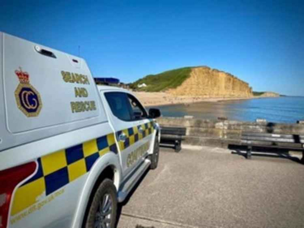 Dead dolphin found washed up on West Bay