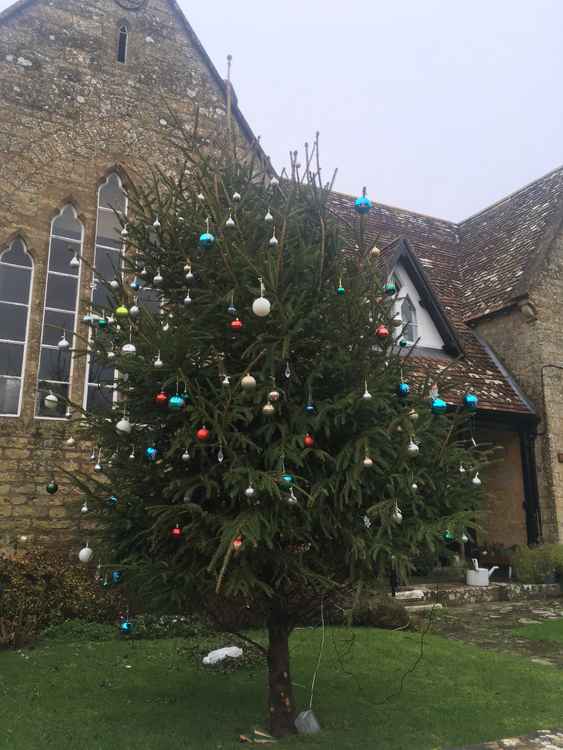 The Christmas tree at Walditch Village Hall