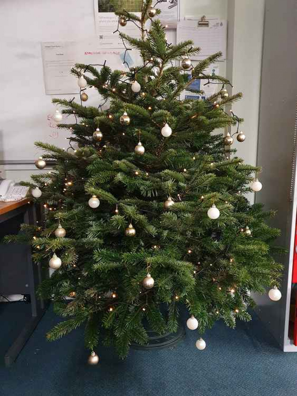 The Christmas tree in Bridport Ambulance Station