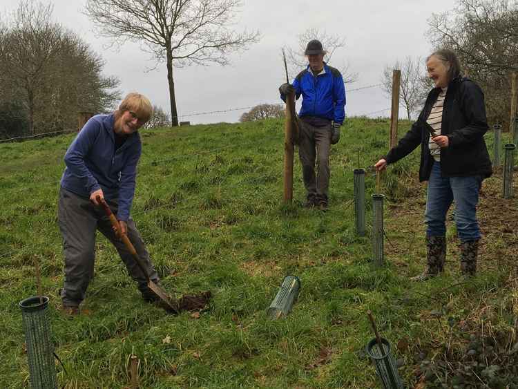 Sue Arnold of the Millenium Green Project plants a sapling watched by John Hinsley and Lucy Rowland of Bridport Tree Planting