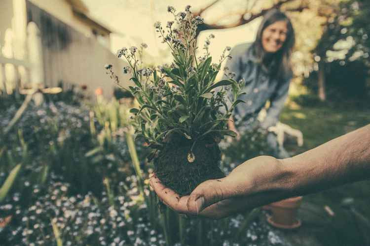 Charlie Groves shares is 'gateway activities' that are simple to do in the garden at this time of year Picture: Pixabay