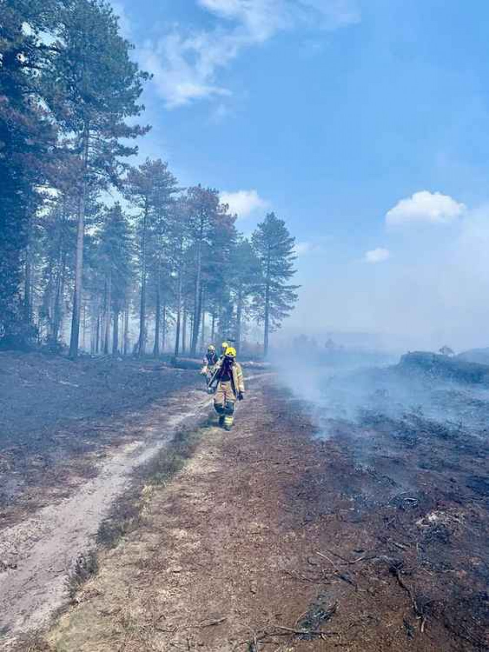 Wareham Forest Fire Picture: Wareham Fire Station