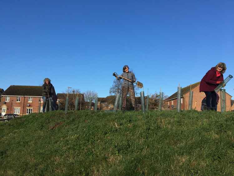 Members of Bridport Tree Planting at Dibden View