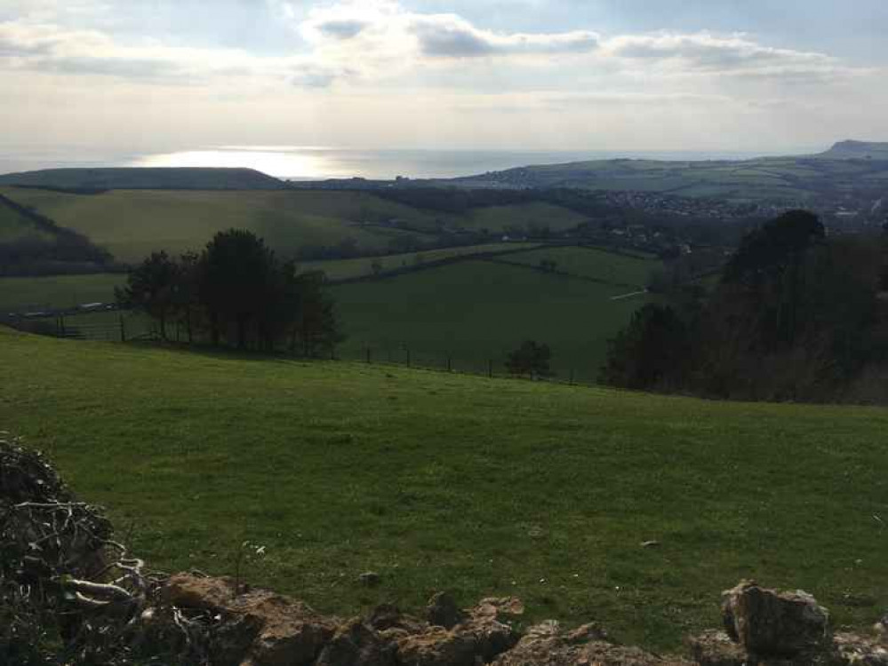 Dorset CPRE has given its support to a National Park and thinks it will be good for the county