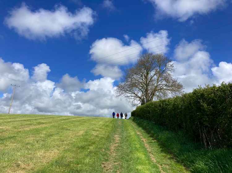 Members of the Bridport U3A short walks group