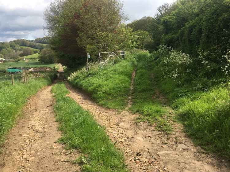 After turning left at the crossroads, take the grassier path to the right