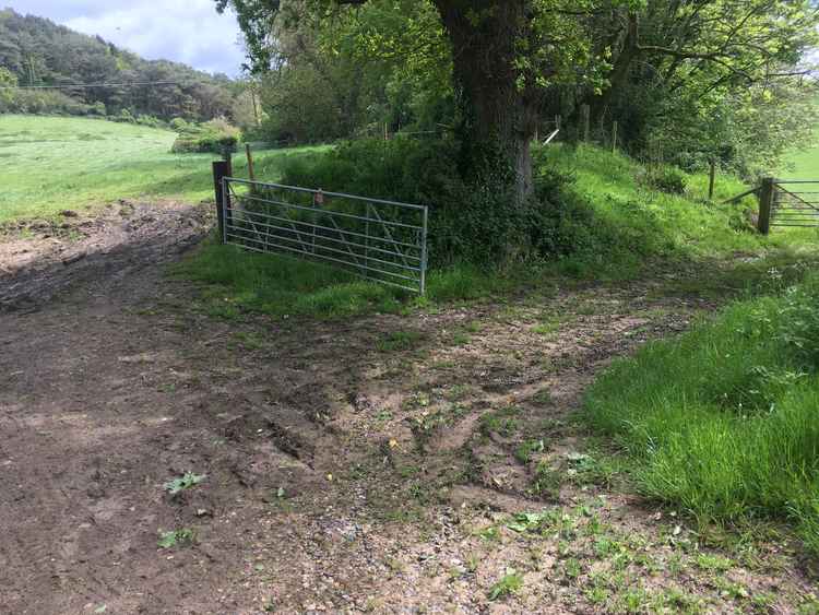 Go through the gate to the left into the field and to a gate a little way up on the right