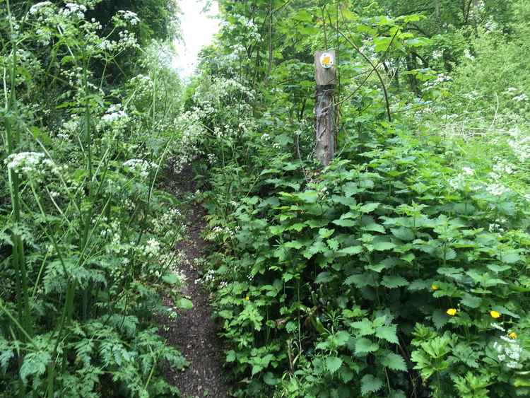 At the top of the bridge take the footpath to the left, a little overgrown and can easily be missed