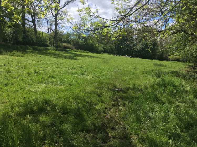 At the kissing gate go right through the field, aiming for the top left corner where there is a gate