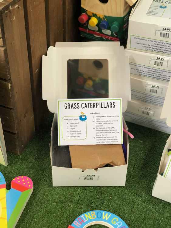 Grow your own grass caterpillars with Groves Nurseries