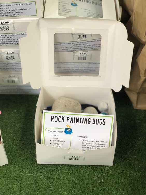 Rock painting bugs