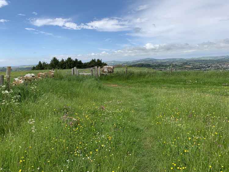 Where the paths meet if you go left and walk around the edge of the field. Turn left here