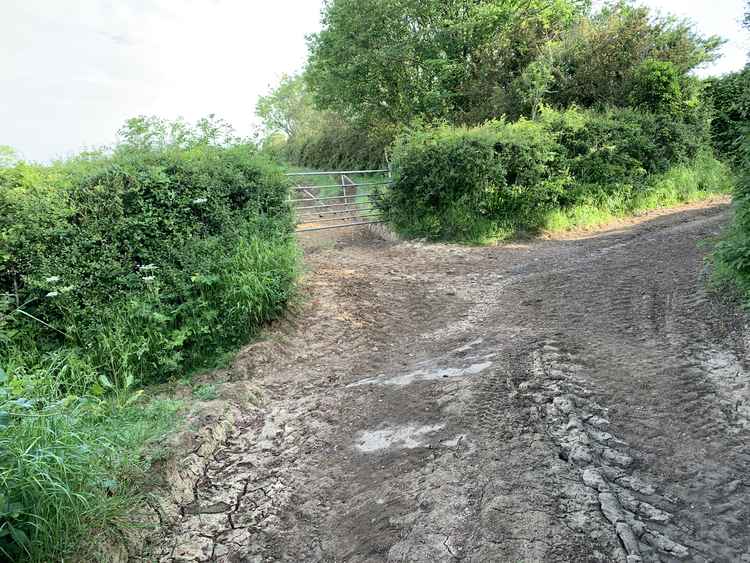 Take the small footpath to the left, just before the gate ahead