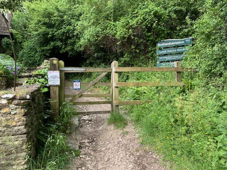 Go through the gate into Bothenhampton Nature Reserve