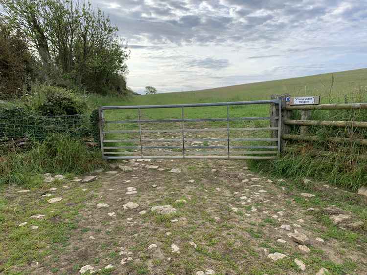 Go through the gate and continue straight along the edge of the field