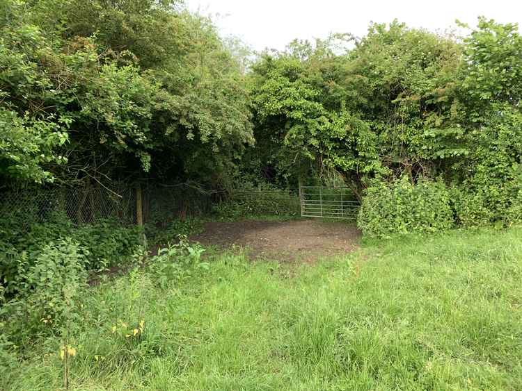 Skirt around the trees and bushes, keeping them on your left and go through the gate in the left-hand corner