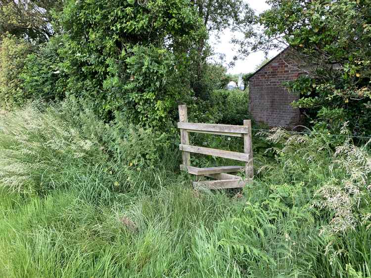 While walking along the top there will be a stile to your right, go over it and go to the right