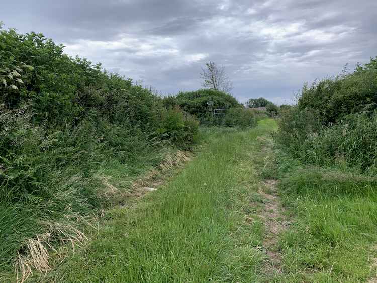 Go into the next field and turn immediately right, keeping on the edge of the field