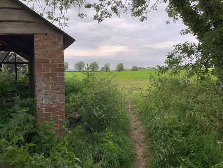 After the stile go round to the right