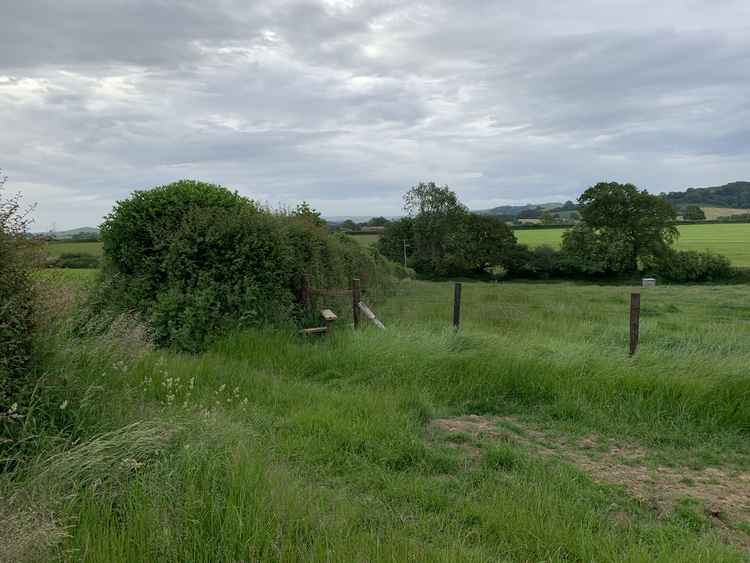 Go over the stile just after the metal water trough and continue straight down the edge of that field