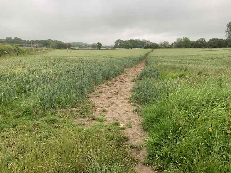 After crossing a second small bridge, the path meets a track, go straight over and follow the path through a field