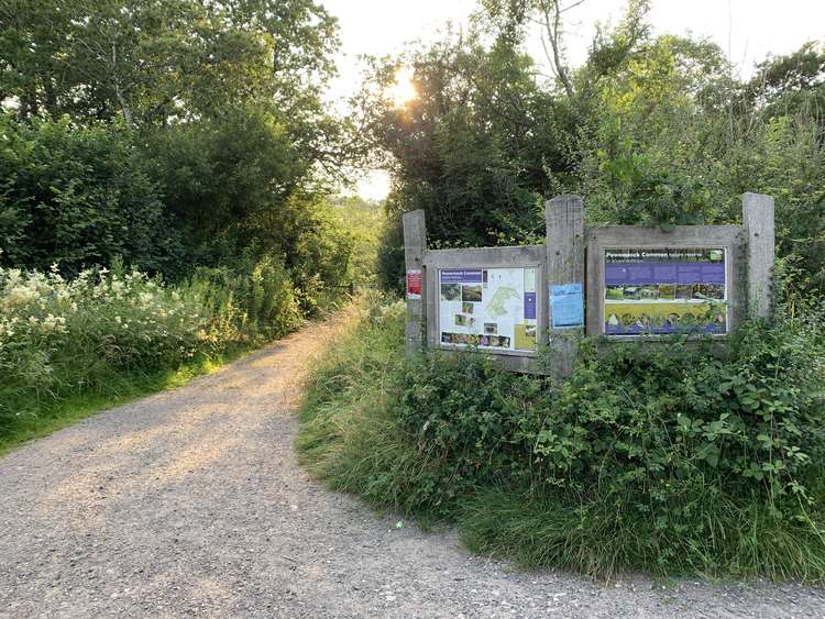 Take the path from the car park by the information boards