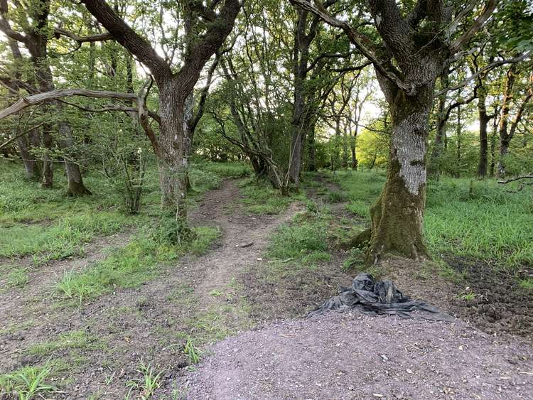 Where the gravel path ends, follow the dirt path to a wooden gate