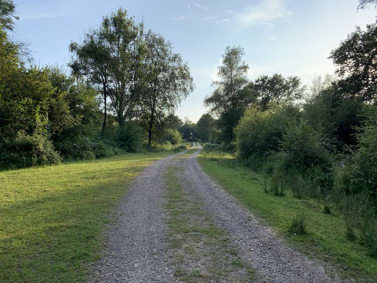 Powerstock Common Nature Reserve