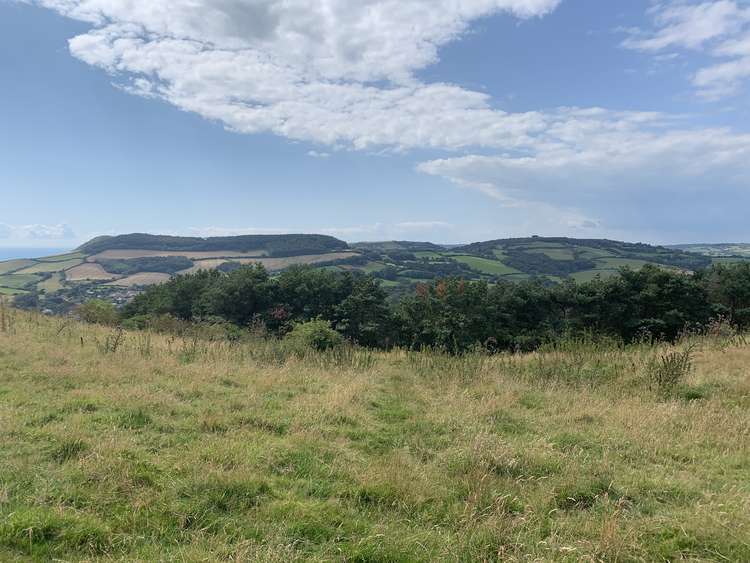 Walk towards these tree tops, in the direction of Langdon Woods and Golden Cap