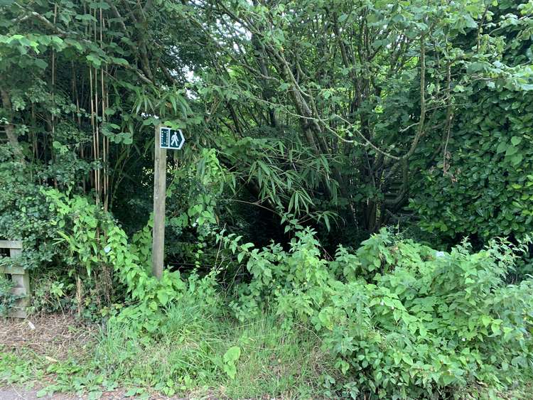 After a home called 'Southlands' on your left, take the footpath on your left