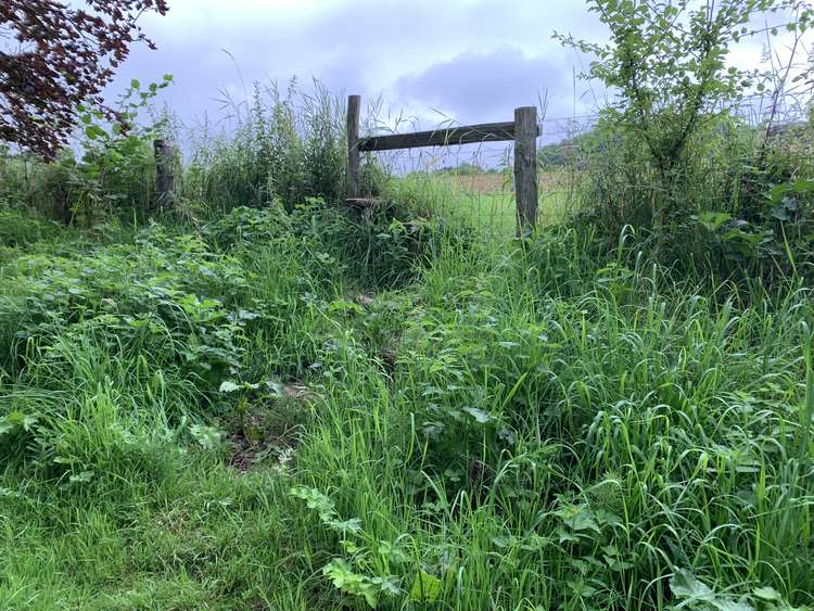 There will be a stile on your right just after the lake, it is a little hidden so keep an eye out