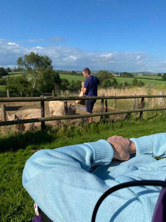 Simon Holland and Kate feeding the pigs