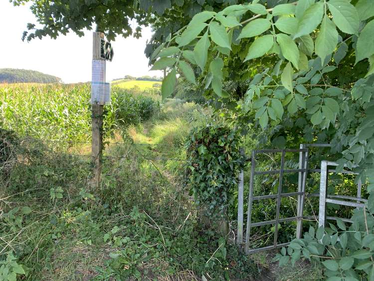 After the bridge, take the right-hand footpath