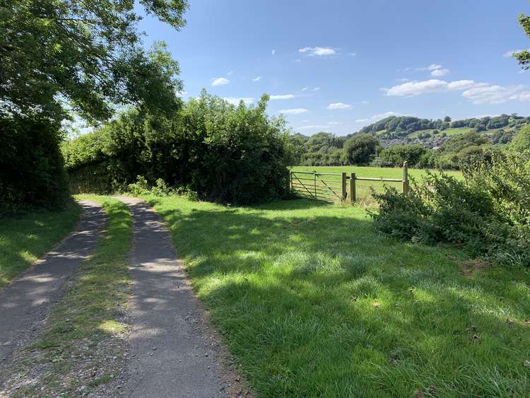 At the top of the hill there will be a footpath to your right