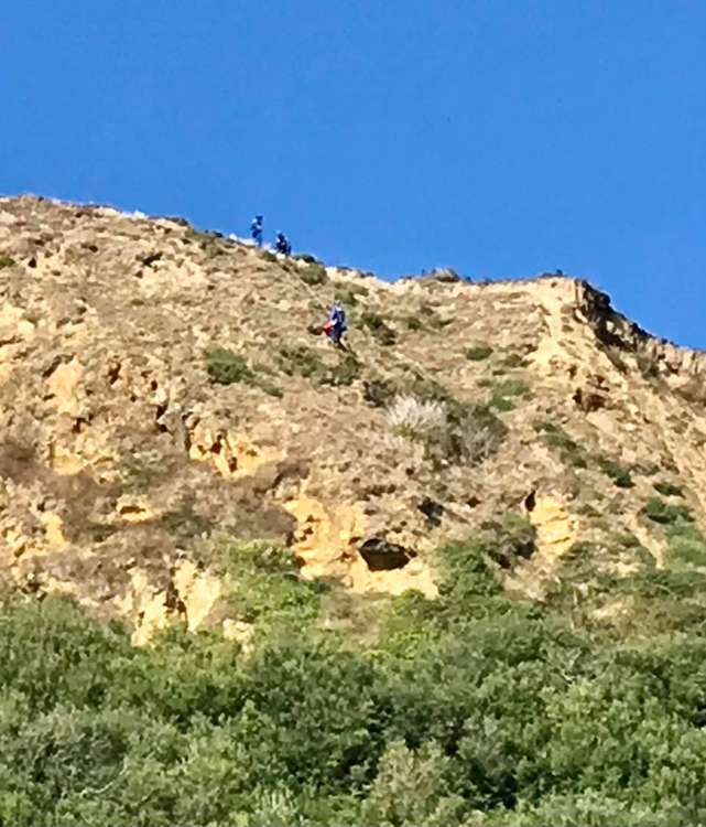 The dog rescue at Thorncombe Beacon near Eype Picture: Bridport Fire Station