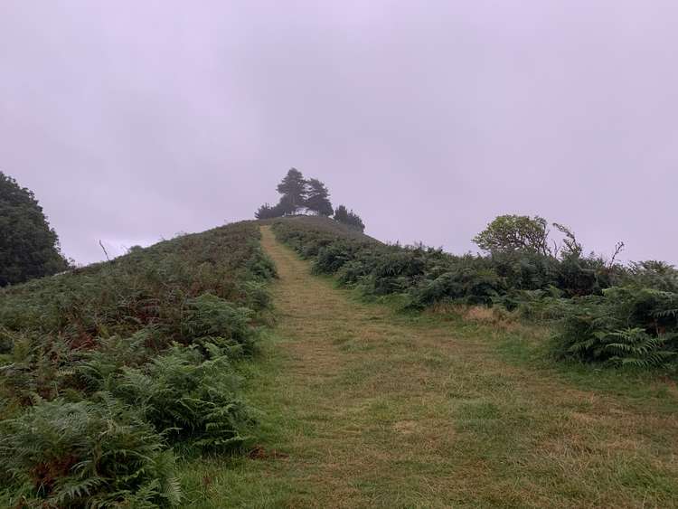 Go up the path to Colmer's Hill
