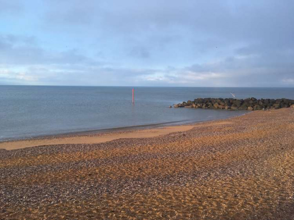 Help clean up West Bay's West Beach this Saturday