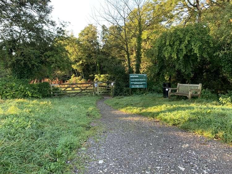 Start at the entrance to Jellyfields Nature Reserve on Lower Walditch Lane