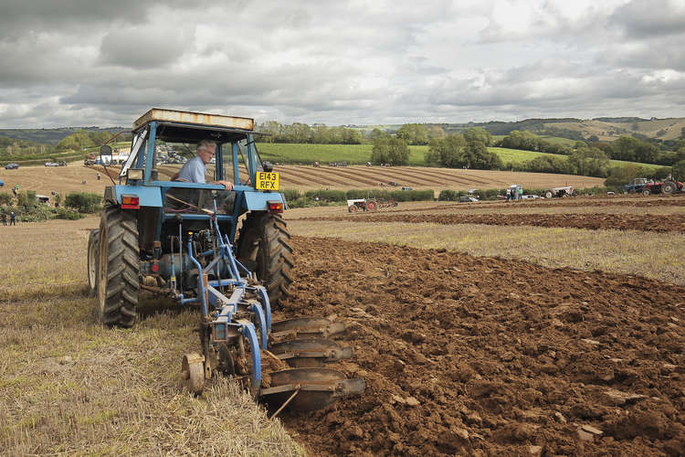 The Melplash Agricultural Society's hedgelaying and ploughing match Picture: Andy White