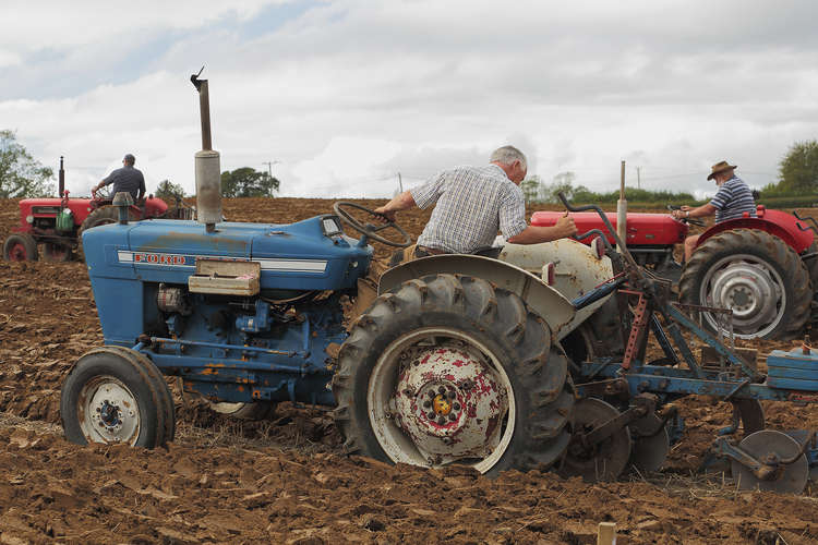 The Melplash Agricultural Society's hedgelaying and ploughing match Picture: Andy White