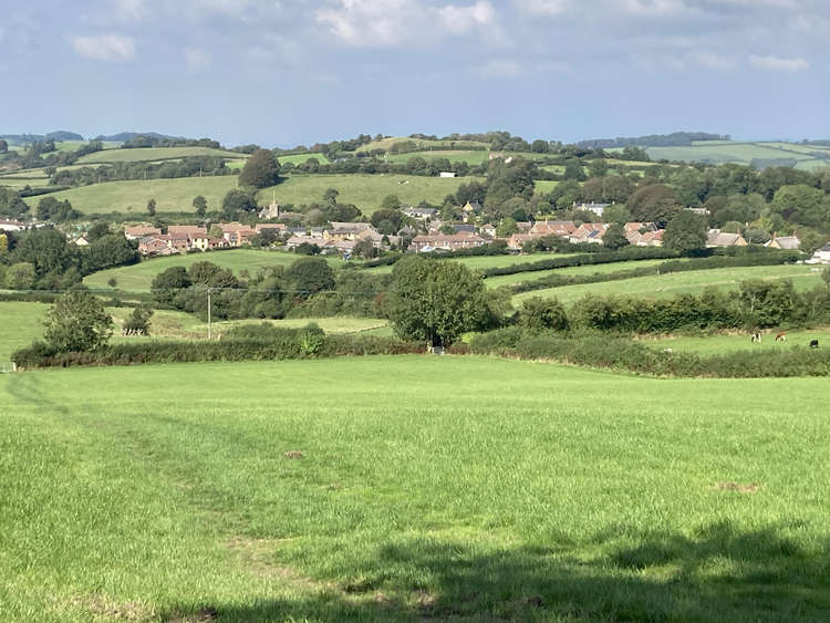 The place I Love art project to be launched in Broadwindsor. View from the farmer Michael Frampton's bench Picture: Margery Hookings