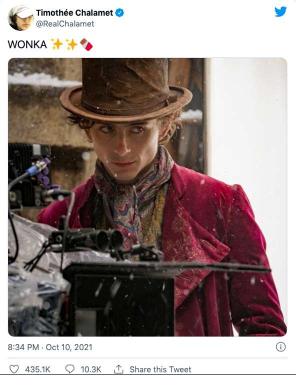 Lead actor Timothée Chalamet gave fans a sneak preview of his portrayal of the Roald Dahl character Willy Wonka, posting a picture of him in costume on Twitter