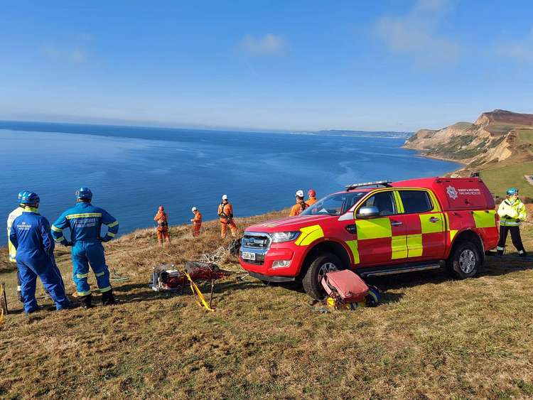 Bridport, Weymouth and Poole fire crews and West Bay and Lyme Regis coastguard teams rescue Max the dog who had gone over the cliff at Eype Image: Bridport Fire Station