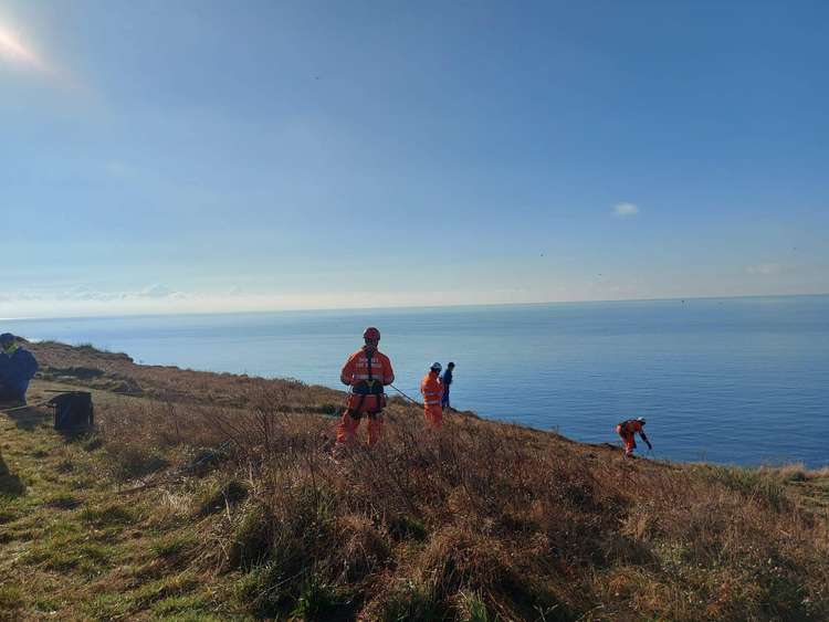 Bridport, Weymouth and Poole fire crews and West Bay and Lyme Regis coastguard teams rescue Max the dog who had gone over the cliff at Eype Image: Bridport Fire Station