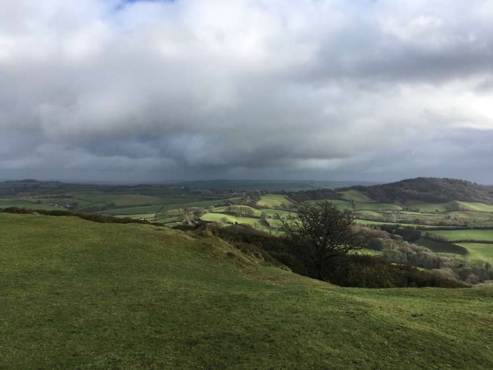 Pilsdon Pen, one of the hillforts saved from the Heritage at Risk register