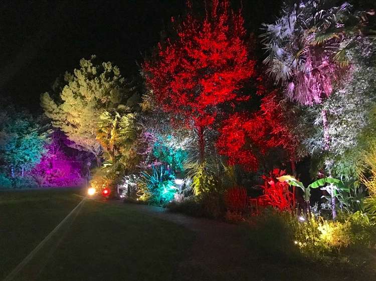 ILLUMINATE returns to Abbotsbury Subtropical Gardens this winter