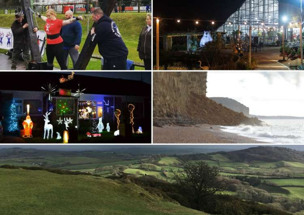 The top five stories on Bridport Nub News this week