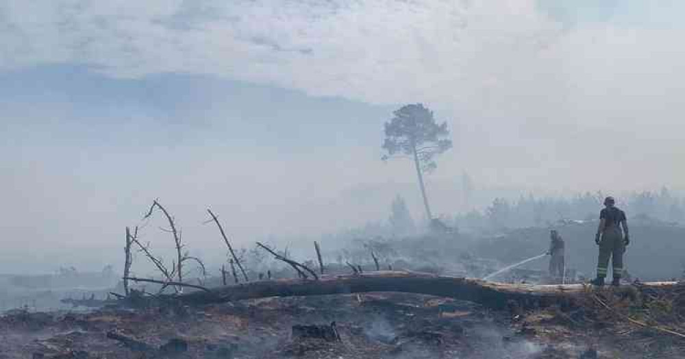The fire at Wareham Forest has been burning for six days (photo credit: Dorset & Wiltshire Fire and Rescue Service)