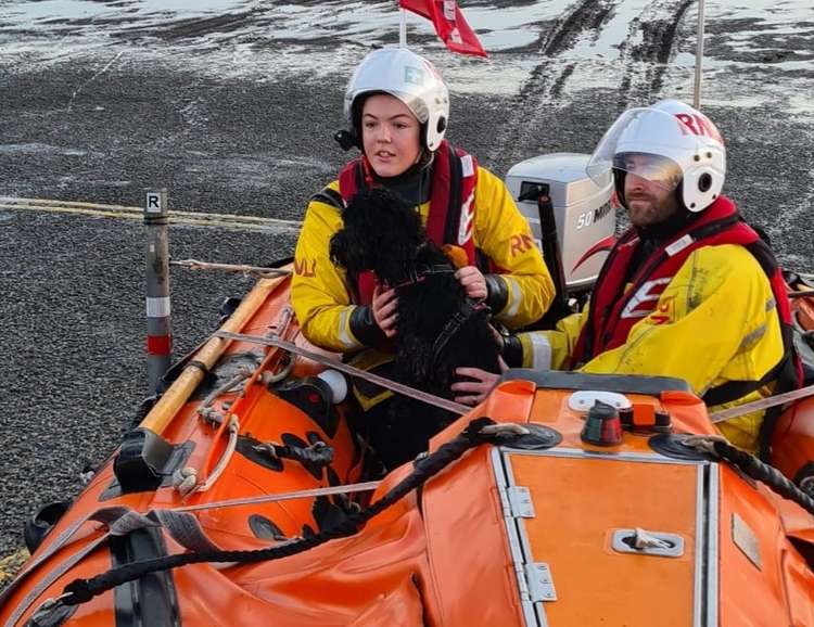 Ella Marston and Jon Hayes with rescued dog returning to shore - Credit:RNLI/Chris Gatenby